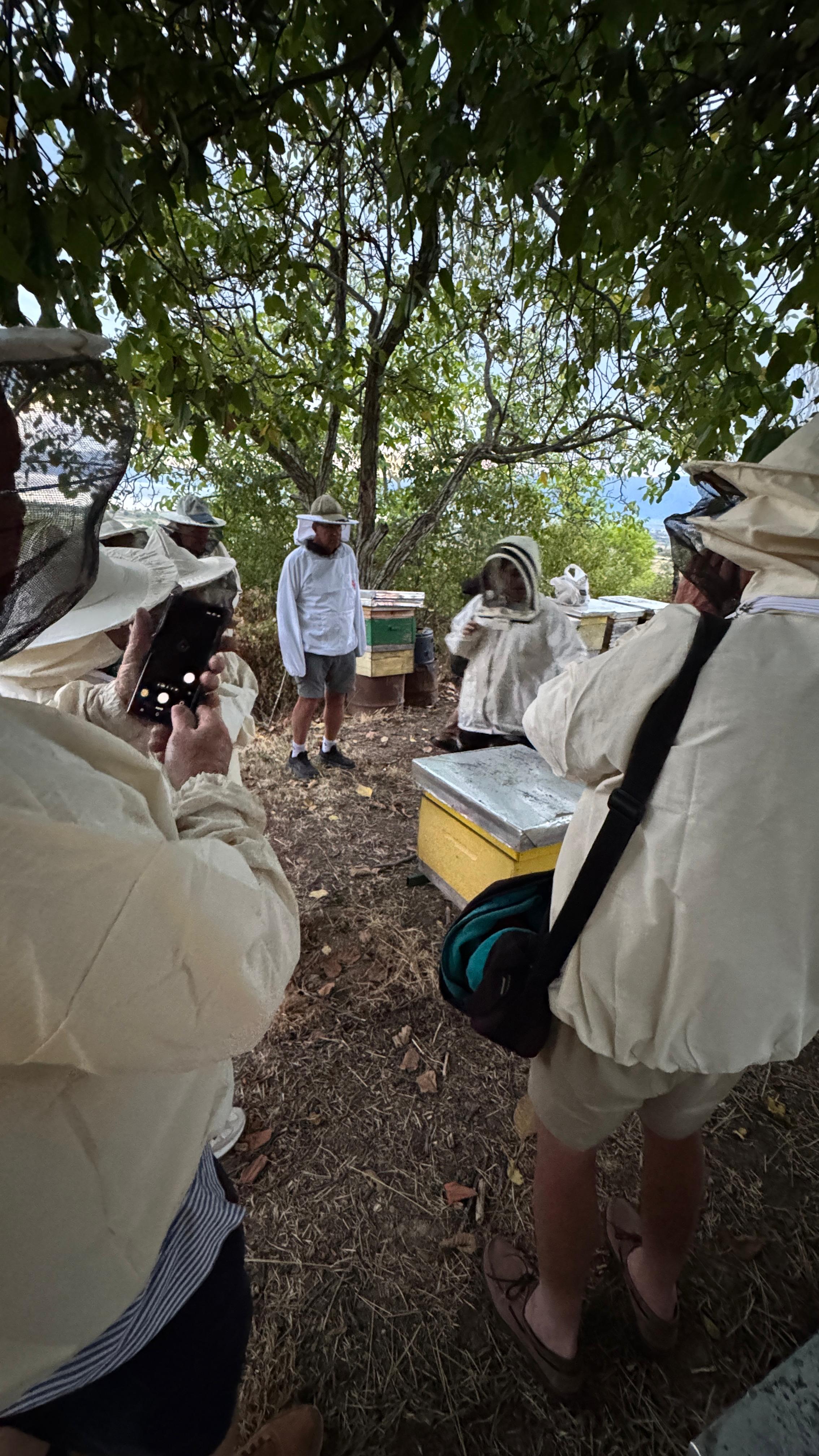 Img 20251001 W A0003